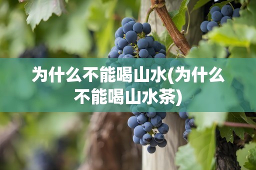 为什么不能喝山水(为什么不能喝山水茶)