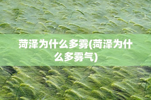 菏泽为什么多雾(菏泽为什么多雾气)