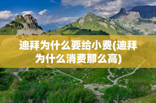 迪拜为什么要给小费(迪拜为什么消费那么高)