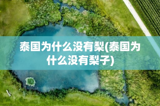 泰国为什么没有梨(泰国为什么没有梨子)