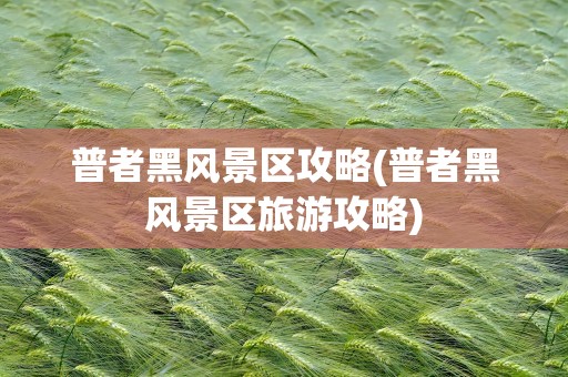 普者黑风景区攻略(普者黑风景区旅游攻略)
