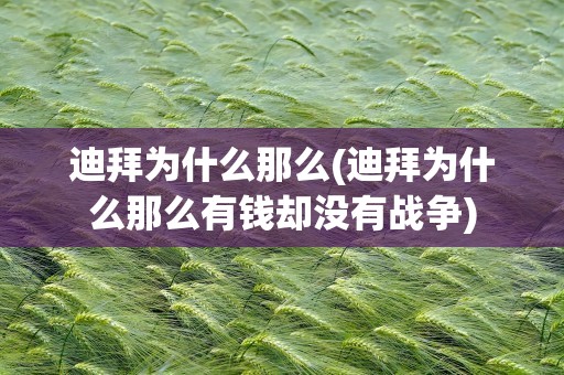 迪拜为什么那么(迪拜为什么那么有钱却没有战争)