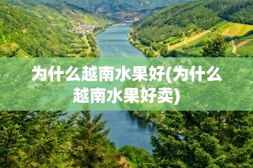 为什么越南水果好(为什么越南水果好卖)