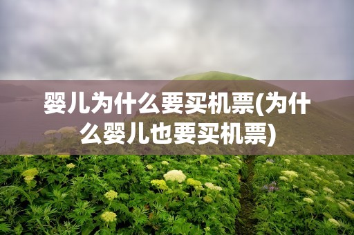 婴儿为什么要买机票(为什么婴儿也要买机票)