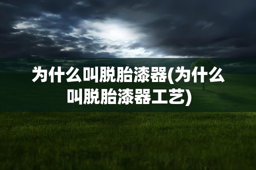 为什么叫脱胎漆器(为什么叫脱胎漆器工艺)