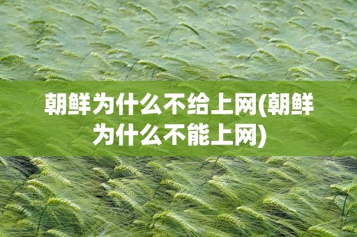 朝鲜为什么不给上网(朝鲜为什么不能上网)