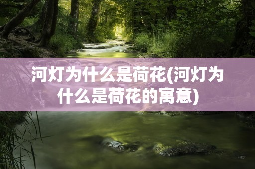 河灯为什么是荷花(河灯为什么是荷花的寓意)