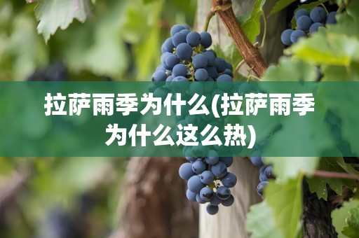 拉萨雨季为什么(拉萨雨季为什么这么热)