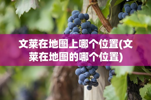 文莱在地图上哪个位置(文莱在地图的哪个位置)