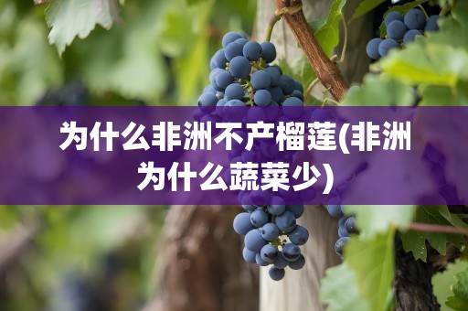 为什么非洲不产榴莲(非洲为什么蔬菜少)