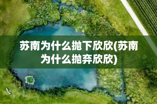 苏南为什么抛下欣欣(苏南为什么抛弃欣欣)