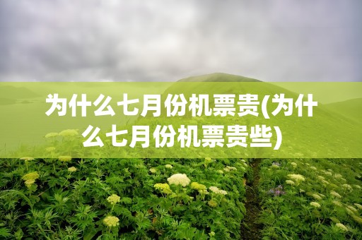 为什么七月份机票贵(为什么七月份机票贵些)
