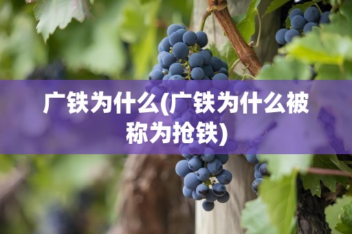 广铁为什么(广铁为什么被称为抢铁)