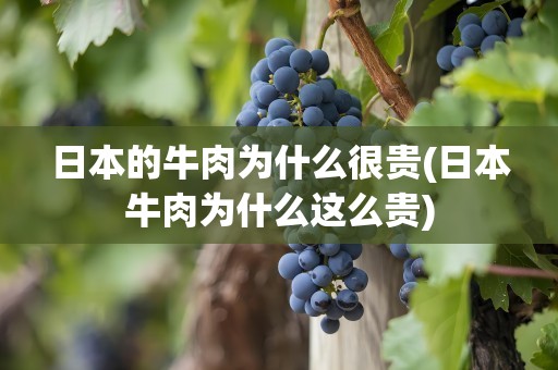 日本的牛肉为什么很贵(日本牛肉为什么这么贵)