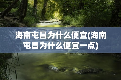海南屯昌为什么便宜(海南屯昌为什么便宜一点)