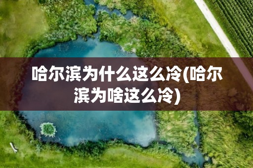 哈尔滨为什么这么冷(哈尔滨为啥这么冷)