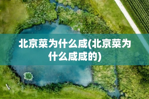 北京菜为什么咸(北京菜为什么咸咸的)