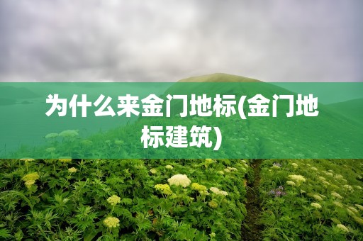 为什么来金门地标(金门地标建筑)
