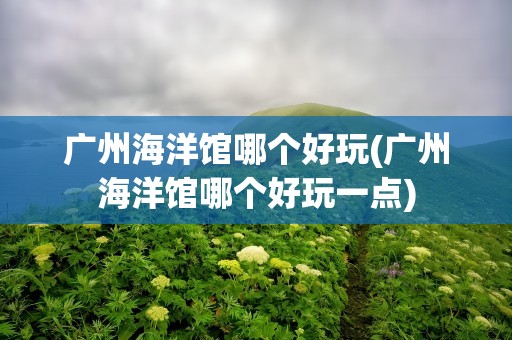 广州海洋馆哪个好玩(广州海洋馆哪个好玩一点)