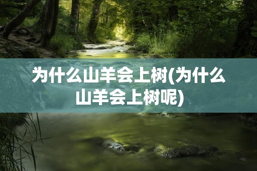 为什么山羊会上树(为什么山羊会上树呢)
