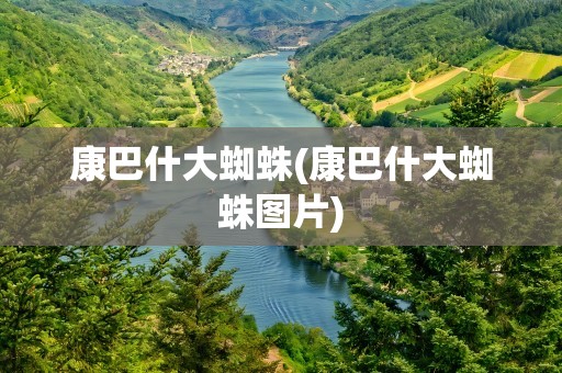 康巴什大蜘蛛(康巴什大蜘蛛图片)