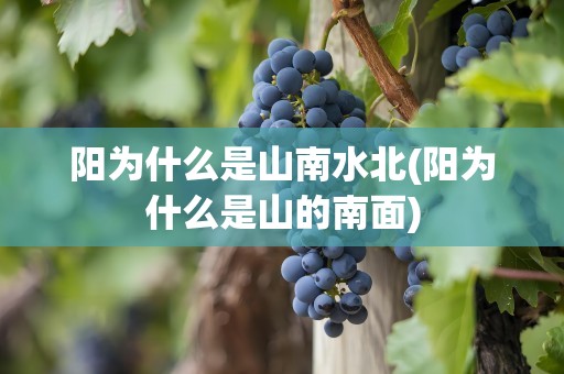 阳为什么是山南水北(阳为什么是山的南面)