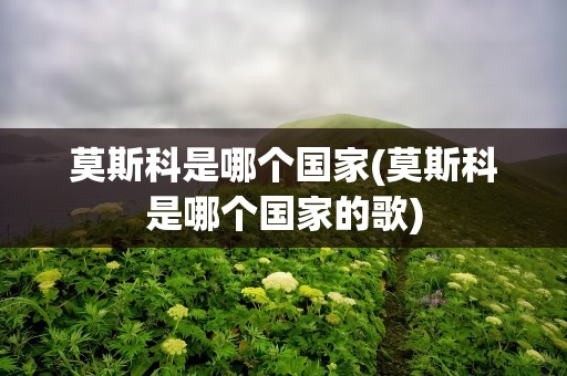 莫斯科是哪个国家(莫斯科是哪个国家的歌)