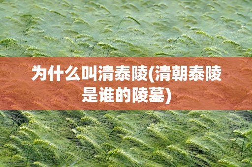 为什么叫清泰陵(清朝泰陵是谁的陵墓)