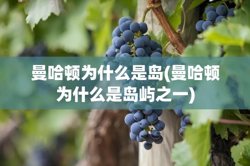 曼哈顿为什么是岛(曼哈顿为什么是岛屿之一)