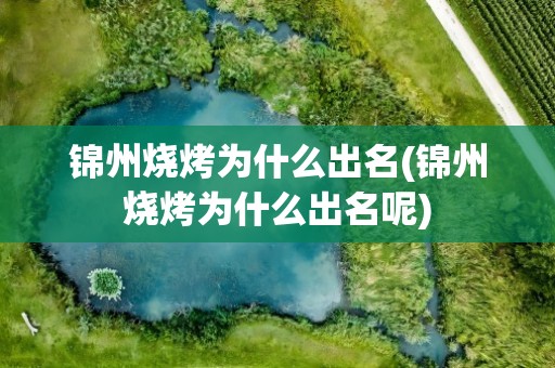 锦州烧烤为什么出名(锦州烧烤为什么出名呢)