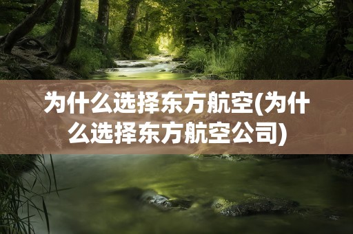 为什么选择东方航空(为什么选择东方航空公司)