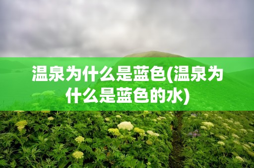 温泉为什么是蓝色(温泉为什么是蓝色的水)