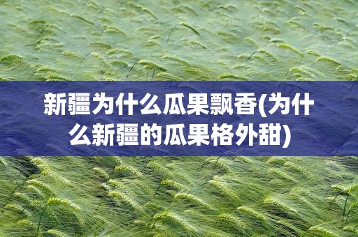 新疆为什么瓜果飘香(为什么新疆的瓜果格外甜)