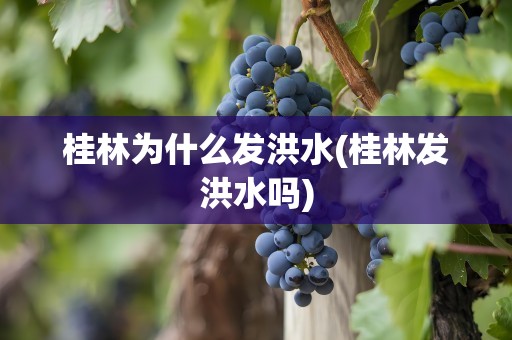 桂林为什么发洪水(桂林发洪水吗)