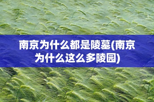 南京为什么都是陵墓(南京为什么这么多陵园)
