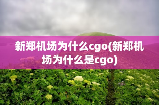 新郑机场为什么cgo(新郑机场为什么是cgo)