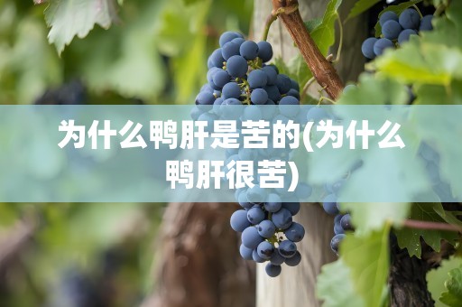 为什么鸭肝是苦的(为什么鸭肝很苦)