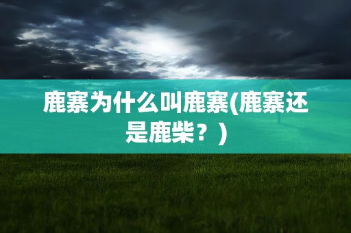 鹿寨为什么叫鹿寨(鹿寨还是鹿柴？)
