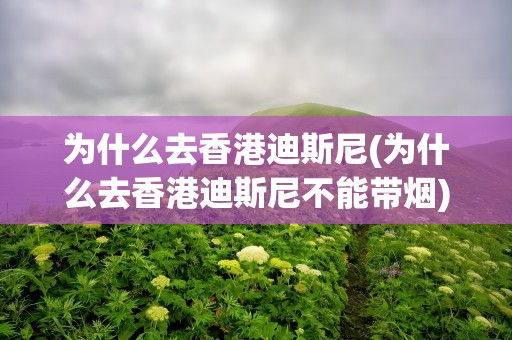 为什么去香港迪斯尼(为什么去香港迪斯尼不能带烟)