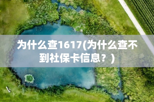 为什么查1617(为什么查不到社保卡信息？)