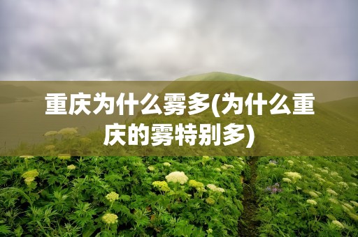 重庆为什么雾多(为什么重庆的雾特别多)