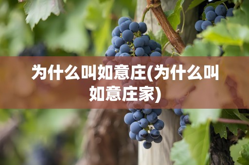 为什么叫如意庄(为什么叫如意庄家)