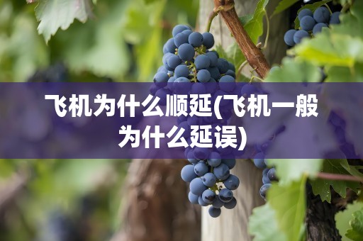 飞机为什么顺延(飞机一般为什么延误)
