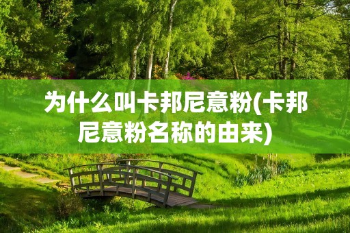 为什么叫卡邦尼意粉(卡邦尼意粉名称的由来)