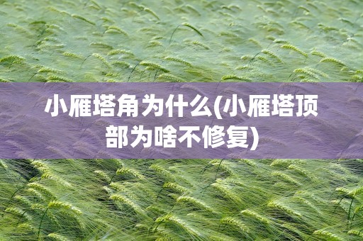 小雁塔角为什么(小雁塔顶部为啥不修复)