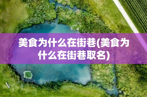 美食为什么在街巷(美食为什么在街巷取名)