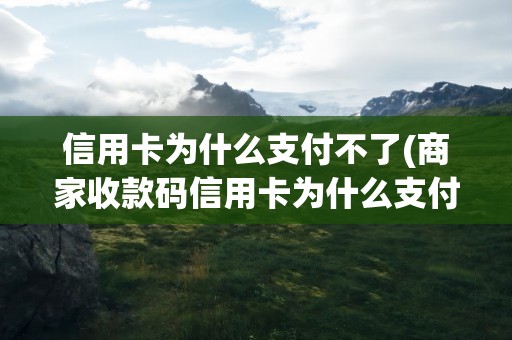 信用卡为什么支付不了(商家收款码信用卡为什么支付不了)