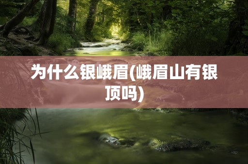 为什么银峨眉(峨眉山有银顶吗)
