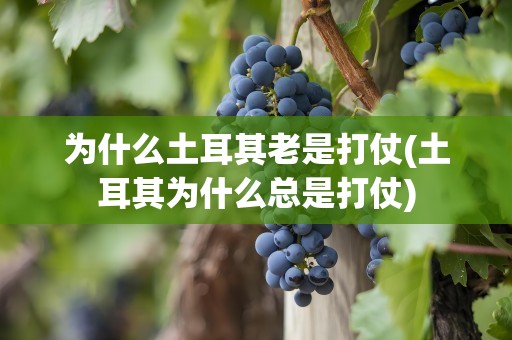 为什么土耳其老是打仗(土耳其为什么总是打仗)