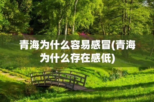 青海为什么容易感冒(青海为什么存在感低)